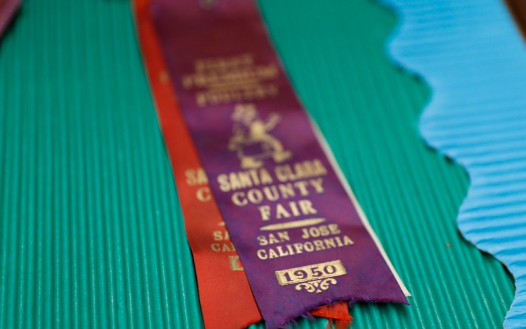 The 75th Annual Santa Clara County Fair is Here!
